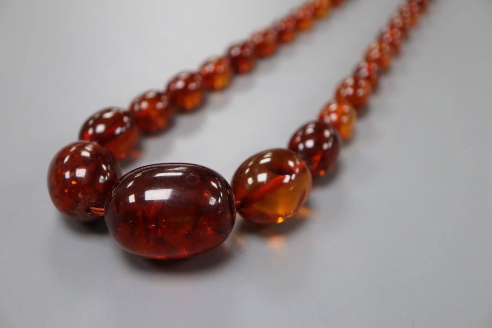 A single strand graduated oval amber bead necklace, 55cm, gross 45 grams.